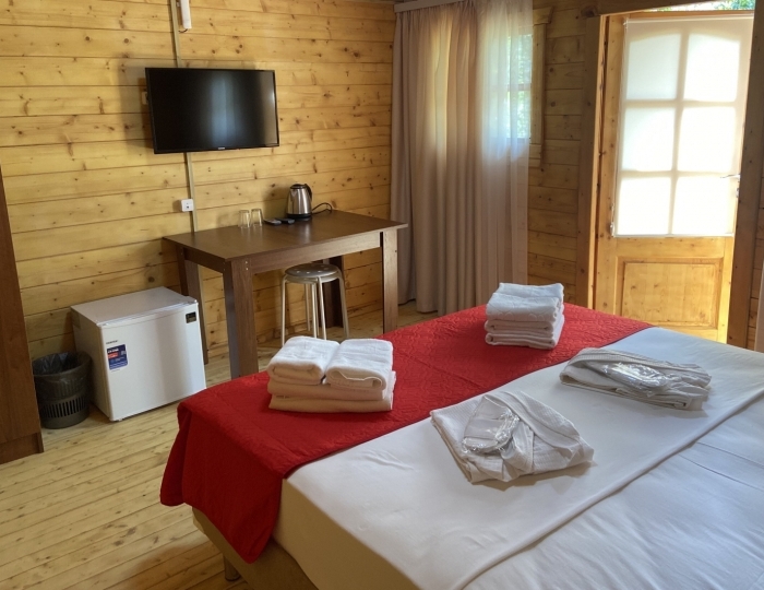 Коттедж 2-местный 1-комнатный - Гранд отель «Абхазия» Гагра