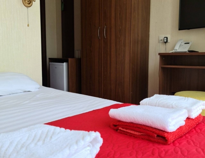 Эконом 2-местный 1-комнатный DBL - Гранд отель «Абхазия» Гагра